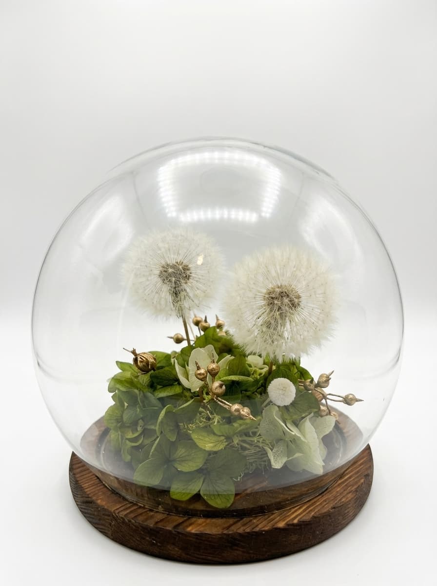 The Terrarium